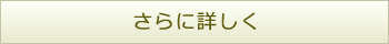 さらに詳しく